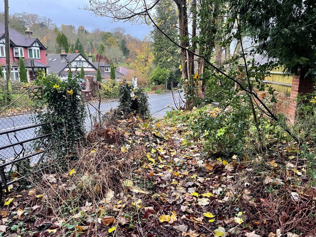 Lot: 41 - JUST OVER TWO ACRES OF WOODLAND WITH POTENTIAL - Access to woodland from inside perimeter
